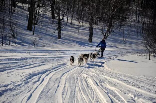 為什么那些線上起家的旅行服務商，都紛紛做起了地接？