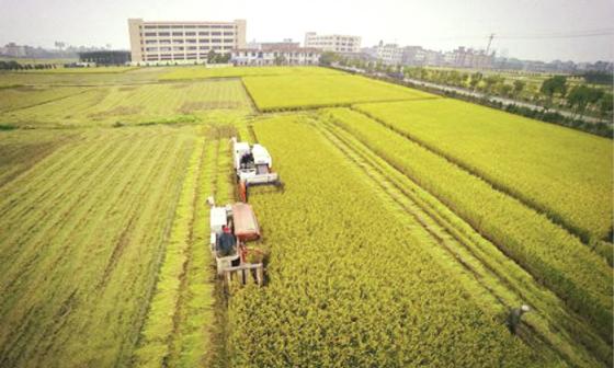 實(shí)現(xiàn)農(nóng)機(jī)行業(yè)轉(zhuǎn)型升級(jí)需營(yíng)造良好的營(yíng)商環(huán)境