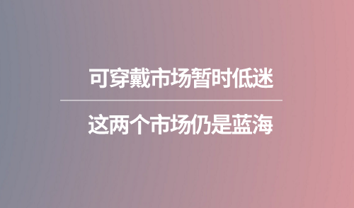 可穿戴市場暫時(shí)低迷 這兩個(gè)市場仍是藍(lán)海