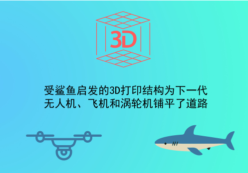 受鯊魚啟發(fā)的3D打印結(jié)構(gòu)為下一代無人機、飛機和渦輪機鋪平了道