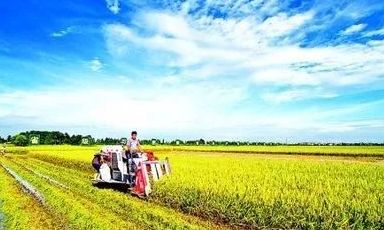 今年中國大農業(yè)要做這幾件大事兒！