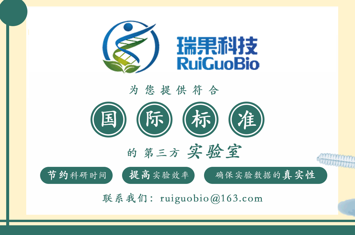上海千余輛共享單車被扣押 場面壯觀